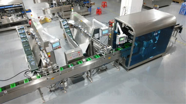 Multi-column-Cartoning-Machine