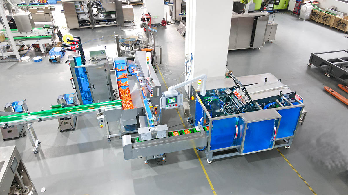 Automatic Sorting and Counting Cartoning Line for Disorderly Products