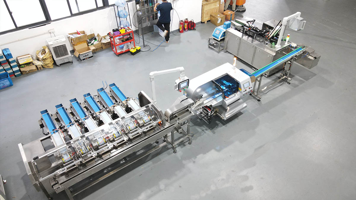 Finger Biscuit Counting and Packaging/Cartoning Line