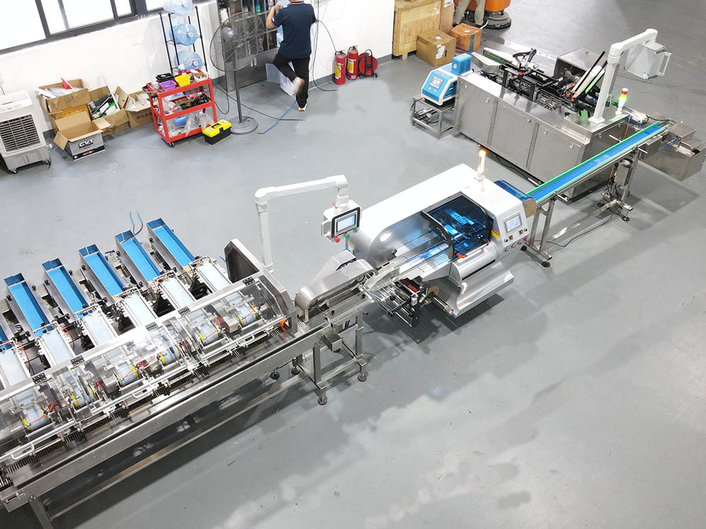 High-Speed Biscuit Counting and Boxing Machine